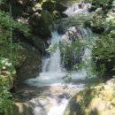 자연힐링센터 이미지