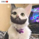 오늘도굿데이