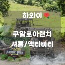 하와이 쿠알로아랜치 투어/셔틀 예약 방법, 예약 없이 방문 후기