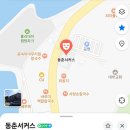 추억의 동춘서커스 | 한국 전통 서커스 동춘서커스 공연 정보 총정리
