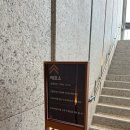 소노펠리체 델피노 이미지