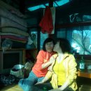 영준 농장 이미지