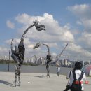 서울참새 이미지