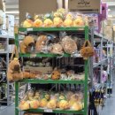 한국종합주방할인마트 | [ 대전 1500평 대형마트 대원종합물류 자세한 층별안내 ]