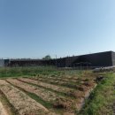 주식회사수림조경