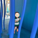 돌 아기, 3살 아기의 [아리수나라] 후기 / 스시안 점심식사메뉴