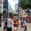 서울맛집/명동미슐랭맛집/명동교자칼국수본점