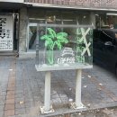 래리커피