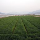 냉천삼거리 이미지