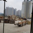 센띠에로 네이버블로그