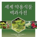 보건메디컬 이미지