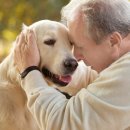 오래오래동물병원 이미지