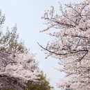 세은테크
