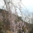 솔뫼목장 이미지