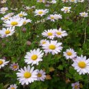 서흥농장 이미지