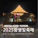 함평군립미술관 | 2025 함평겨울빛축제 기본정보 무료 야간 축제 직접 다녀온 후기