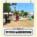 서산 해미읍성 행사 볏가릿대 농경문화한마당 후기 체험거리 가득