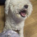 광광다방 이미지