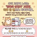 새행복약국 이미지