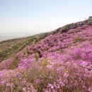 소요산 Daum카페