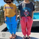 동탄나무로 이미지