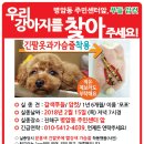 강아지 고양이 잃어버린 동물찾기 전단지제작 사례 (경상남도 창원시 병암동에서 실종된 강아지 찾는 전단지) 이미지