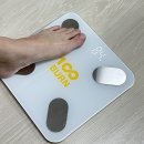 번(BURN) | 스마트 체중계 100BURN 7일 사용 후기 체중관리 앱 기록