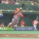 궁 Daum카페