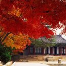 다가온 다가온 이미지