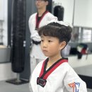 TL태권도 이미지