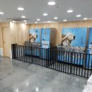 마이리틀프랜드 영일대점(셀프워시) | ㈜마이리틀프렌드, 반려동물 위한 24시간 무인 ‘셀프도그워시’ 눈길