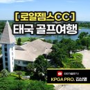 씨앤유여행 이미지