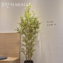 무인카페피치 이미지
