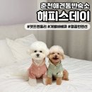 해피스데이애견펜션 | [해피스데이펜션] 춘천애견동반숙소 펫프렌들리한 곳🐻‍❄️🐻