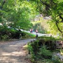 청평사(춘천) 이미지