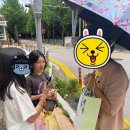 한국에서 보내는 여름방학 이미지