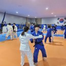 강화용인대유도관 이미지