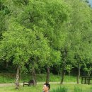 새마을자동차 이미지