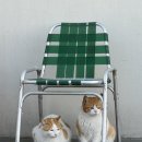 박여사네 네이버블로그