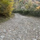 지리산 선녀와 나무꾼 영농조합법인