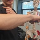 밸런스 메이트 PT STUDIO 이미지