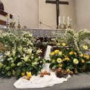 풍납동성당 이미지