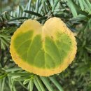 중리서로 이미지