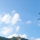숲속의식초