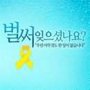 이대통령은 미국과 손잡고 이렇게 했습니다.(동영상은 꼭 보시기 바랍니다.) 이미지