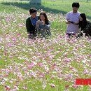 제방로 이미지