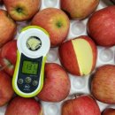 거창-고제-10 이미지