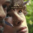 리뷰 #36 ] 애니멀 킹덤 | 사랑하는 사람이 동물로 변하는 판타지적인 최신영화 | 영화 정보 | 후기 | 굿즈