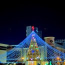 창원광장 앞 중앙대로 이미지