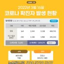 늘푸른크린 이미지